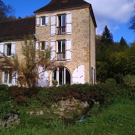 Gîte du Moulin de la Roque Castels Extérieur photo