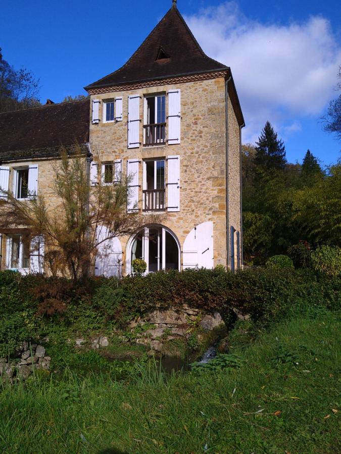 Gîte du Moulin de la Roque Castels Extérieur photo